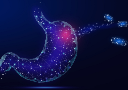 胃動(dòng)力治療儀