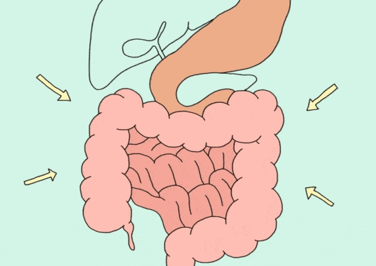 胃腸動(dòng)力治療儀