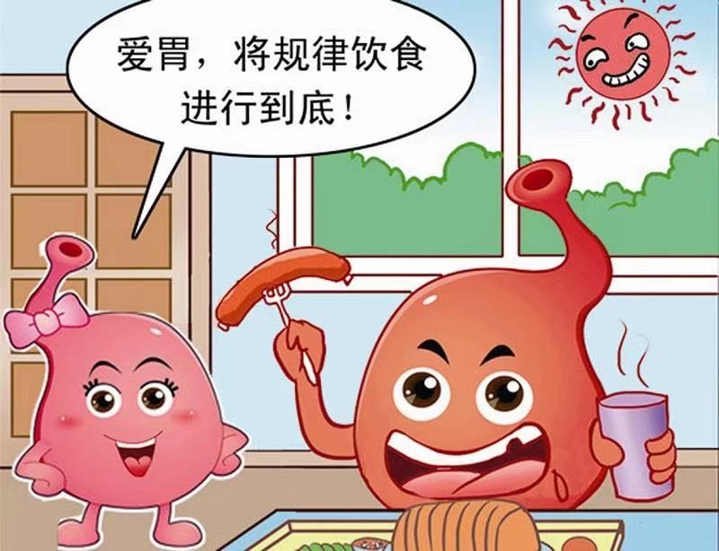 YM-W型胃動力治療儀(圖2) YM-W型胃動力治療儀(圖2)